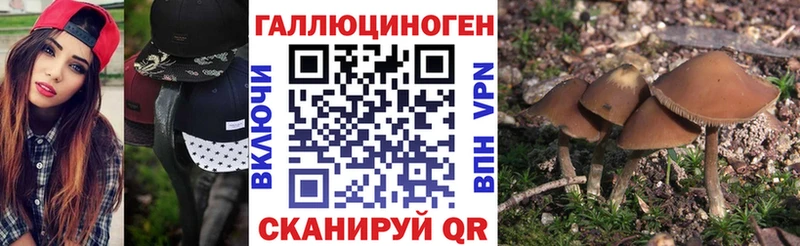 Псилоцибиновые грибы прущие грибы  где найти   Искитим 